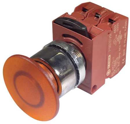 Illum Push Button,22mm,orange,120vac (1