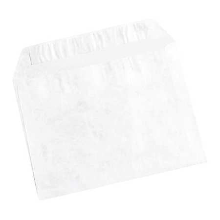 Flat Envelopes,9x12",pk100 (1 Units In P