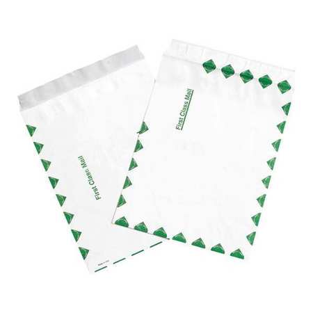 Flat Envelopes,9x12",pk100 (1 Units In P