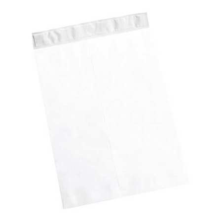 Flat Envelopes,15x20",pk100 (1 Units In