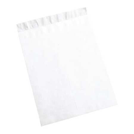 Flat Envelopes,18x23",pk100 (1 Units In