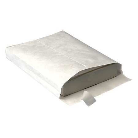 Expansion Mailer,10x13x1.5,18lb.,pk100 (