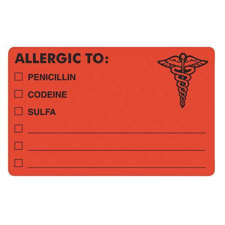 Drug Allergy Warning Labels,2.5x4 (1 Uni