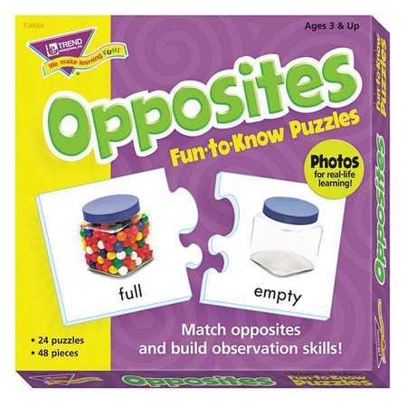 Fun To Know Puzzles,opposites (1 Units I