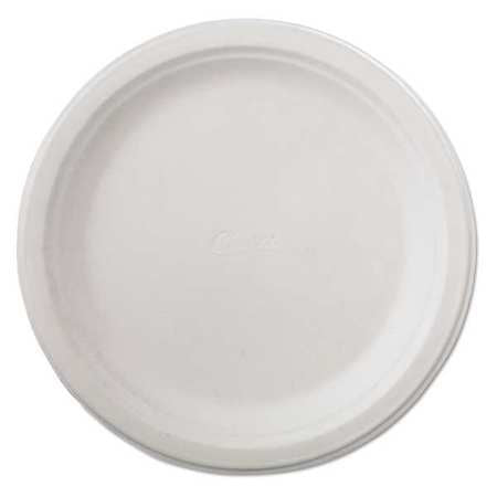 Paper Plate,disposable,93/4",white,pk500