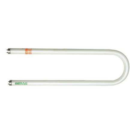 Fluorescent,ubend,32w,t8,4100k,pk16 (1 U