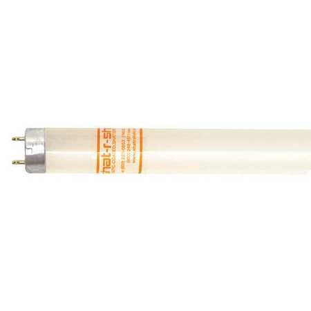 Fluorescent,4',32w,t8,6500k,bi Pin,pk30