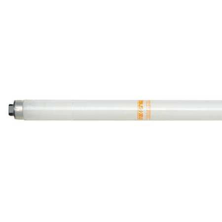 Fluorescent,8',59w,t8/ho,4100k,pk24 (1 U