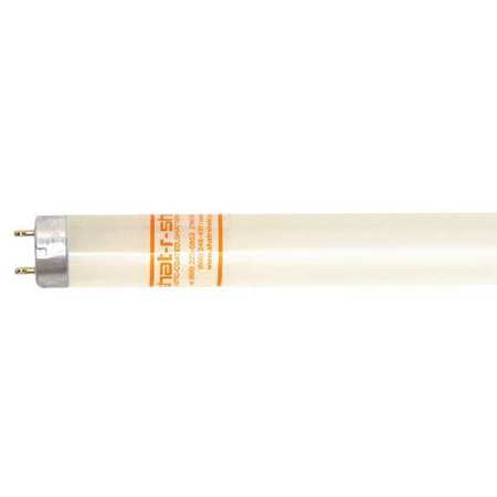 Fluorescent,4',32w,t8,4100k,pk30 (1 Unit