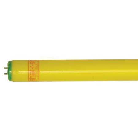 Fluorescent,40w,t12,gold,pk30 (1 Units I