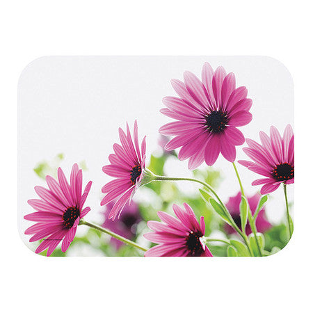 Bright Daisy Traymat,pk500 (1 Units In P