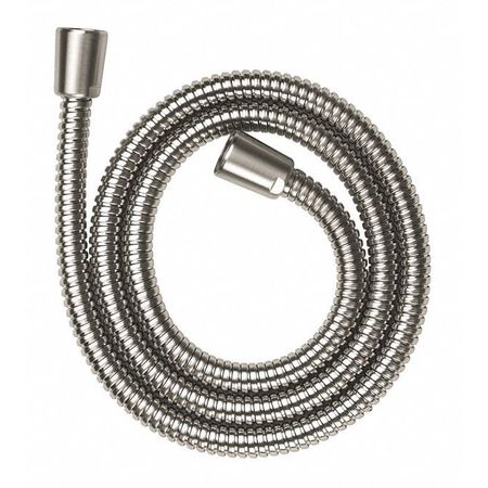 Shower Hose,metal,50" Brushed Nickel (1