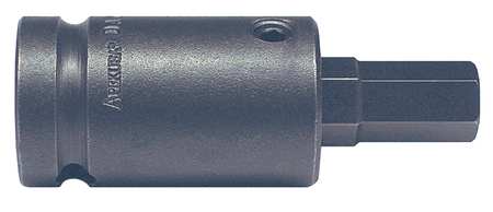 Socket Bit,1/2 In. Dr,10mm Hex (1 Units