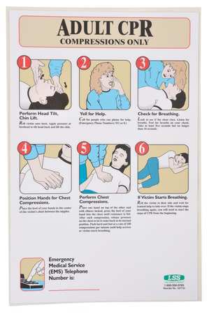 First Aid Poster,17 X 11in (1 Units In E