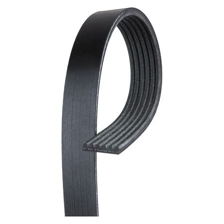 V-ribbed Serpentine Belt,12588408 (1 Uni