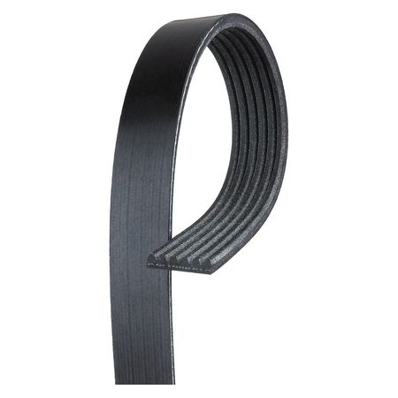 V-ribbed Serpentine Belt,12588410 (1 Uni