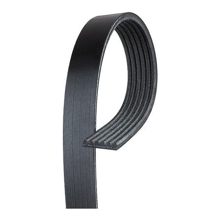 V-ribbed Serpentine Belt,19244949 (1 Uni