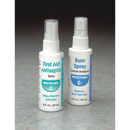 Antiseptic,spray Bottle (1 Units In Ea)