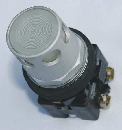 Illuminated Push Button,30mm,1no,120vac