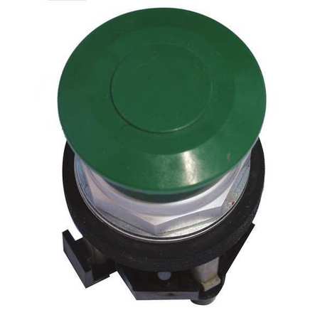 Non-illuminated Push Button,30mm,green (