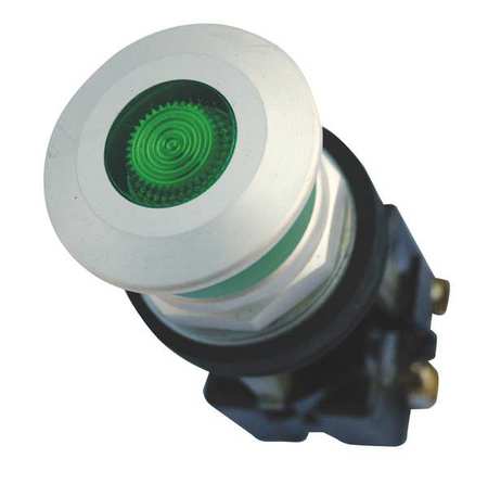 Illuminated Push Button,30mm,120vac (1 U