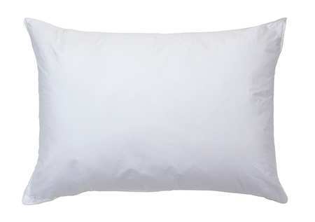 Pillow,standard,white,pk12 (1 Units In P