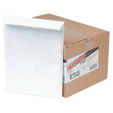 Packing List Envelope,pk25 (1 Units In P